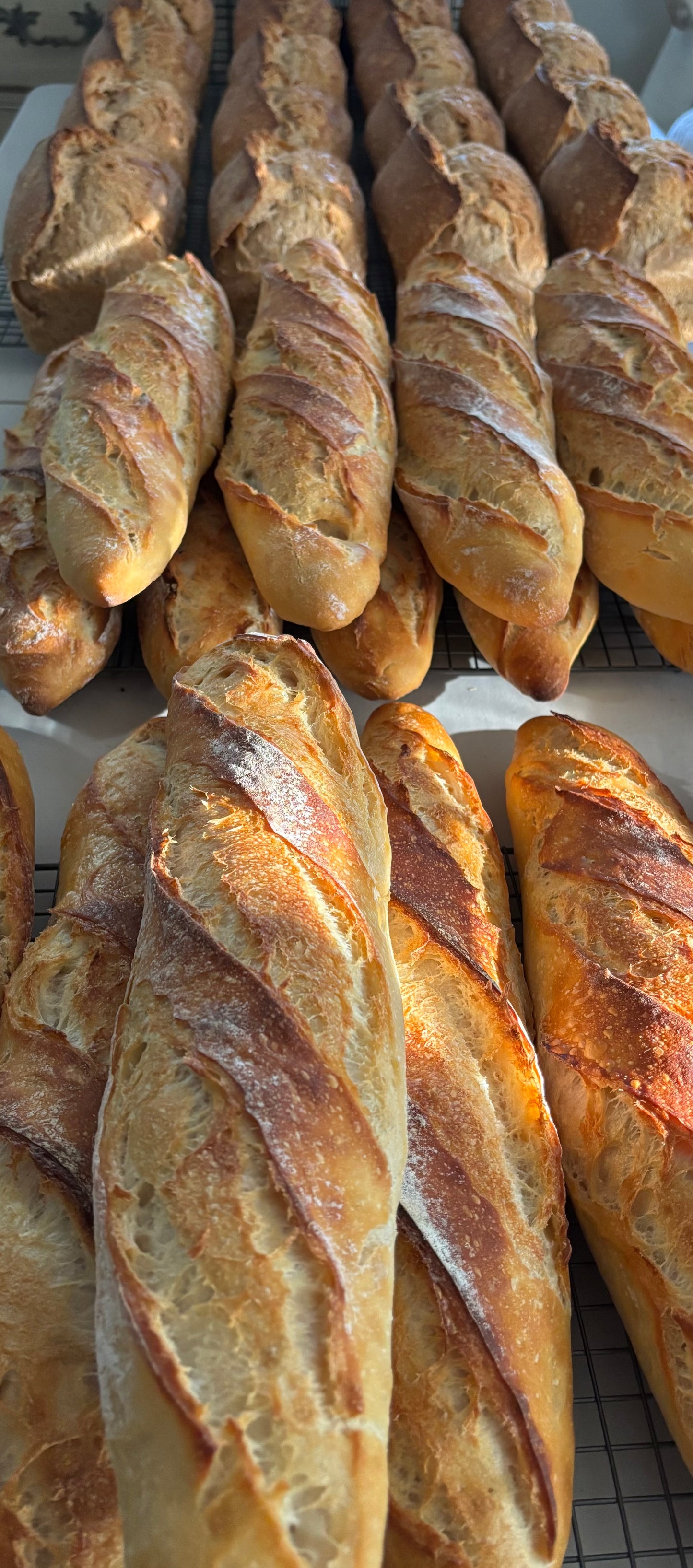 Holiday - Sourdough Artisan Baguette