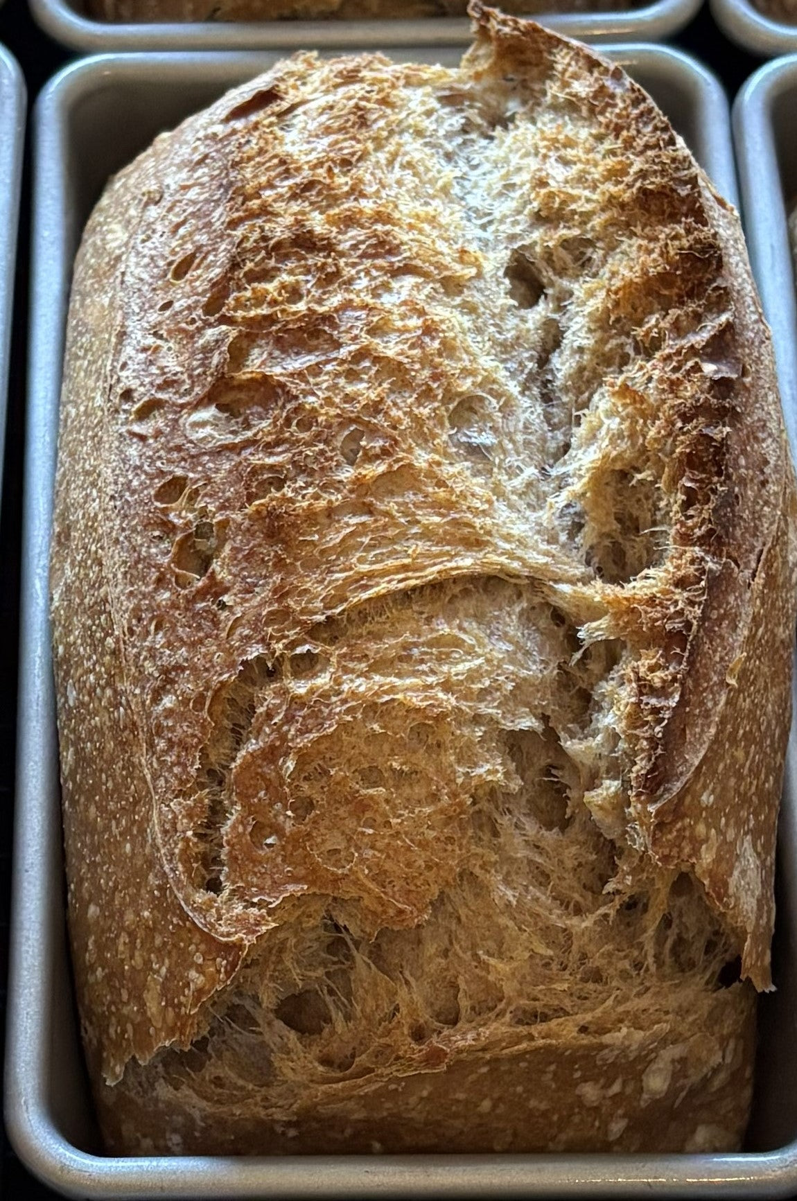 Sourdough Tin Loaf