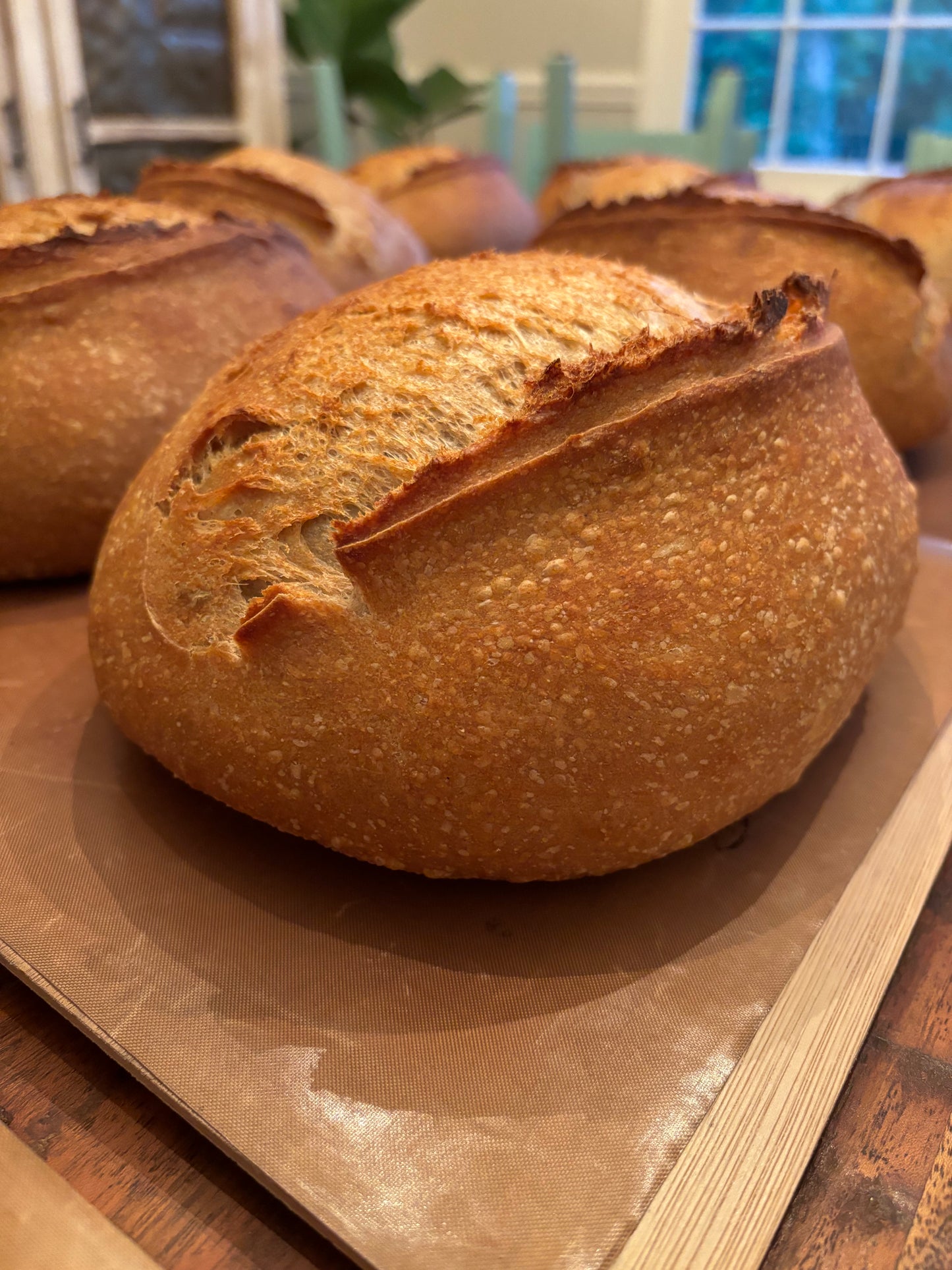 Sourdough Artisan Loaf
