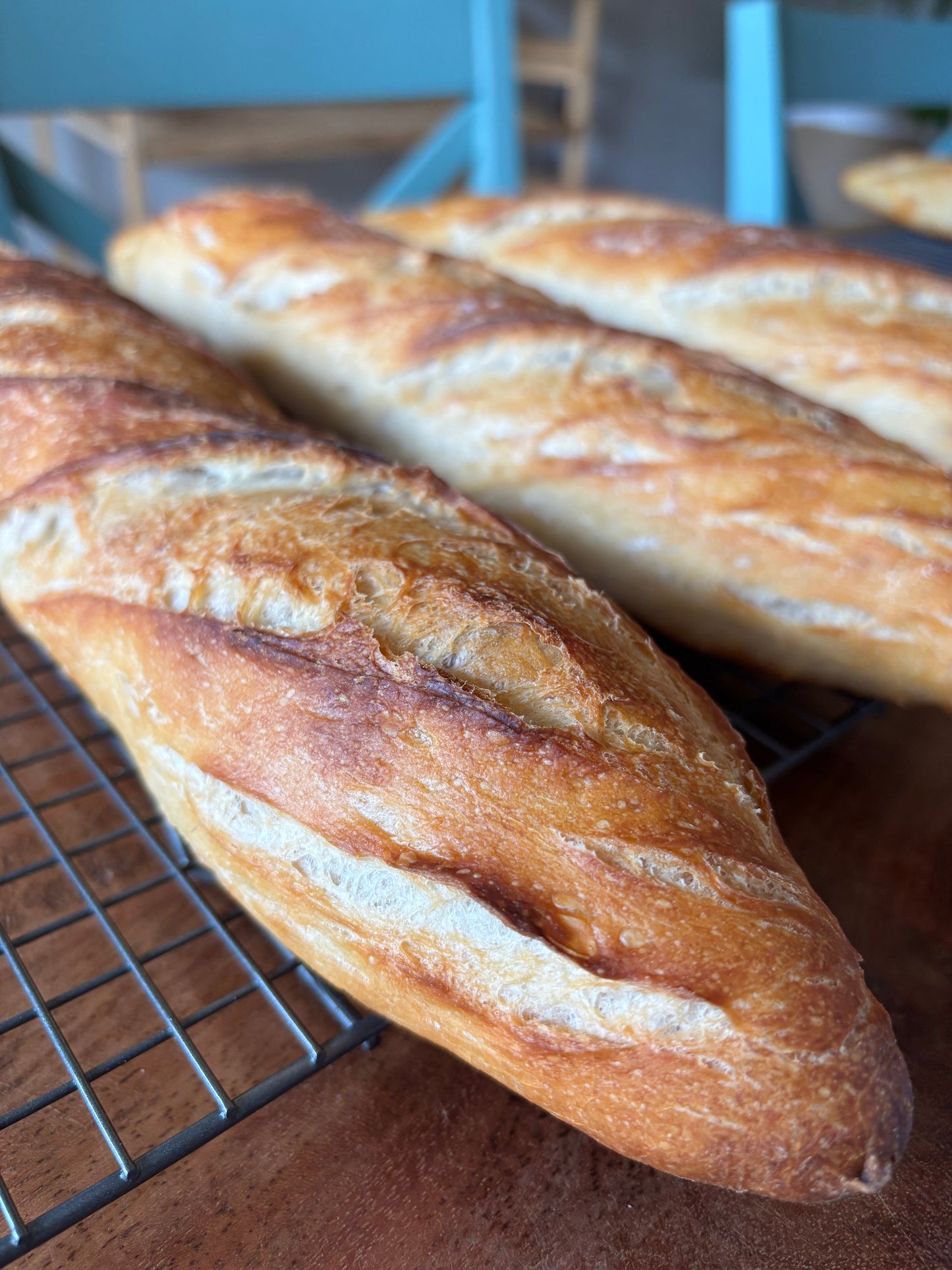 Holiday - Sourdough Artisan Baguette