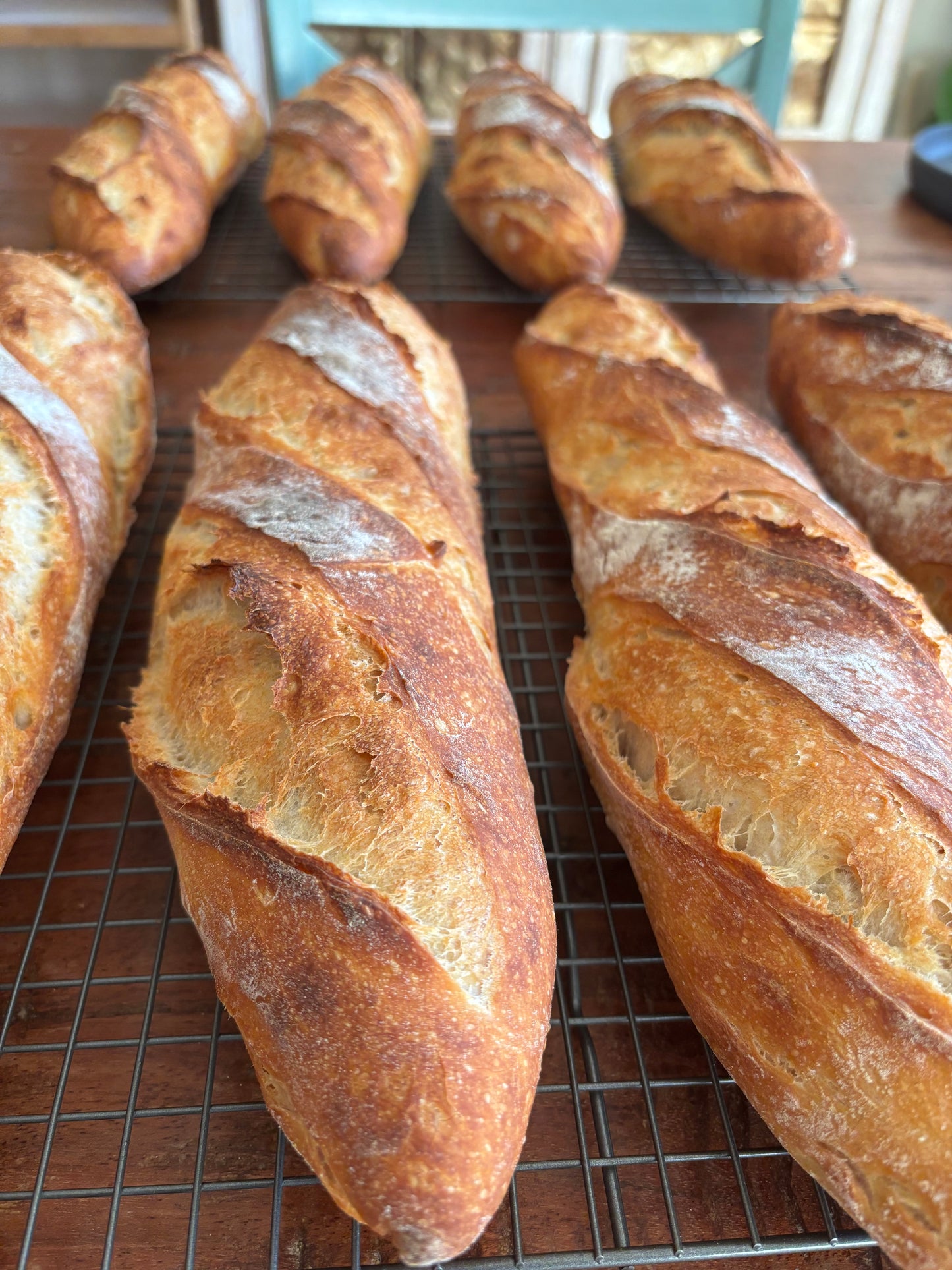 Holiday - Sourdough Artisan Baguette