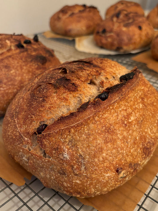 **FRIDAY SPECIAL** Sourdough Artisan Cranberry Walnut Loaf