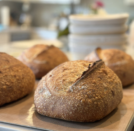 Sourdough Artisan Loaf