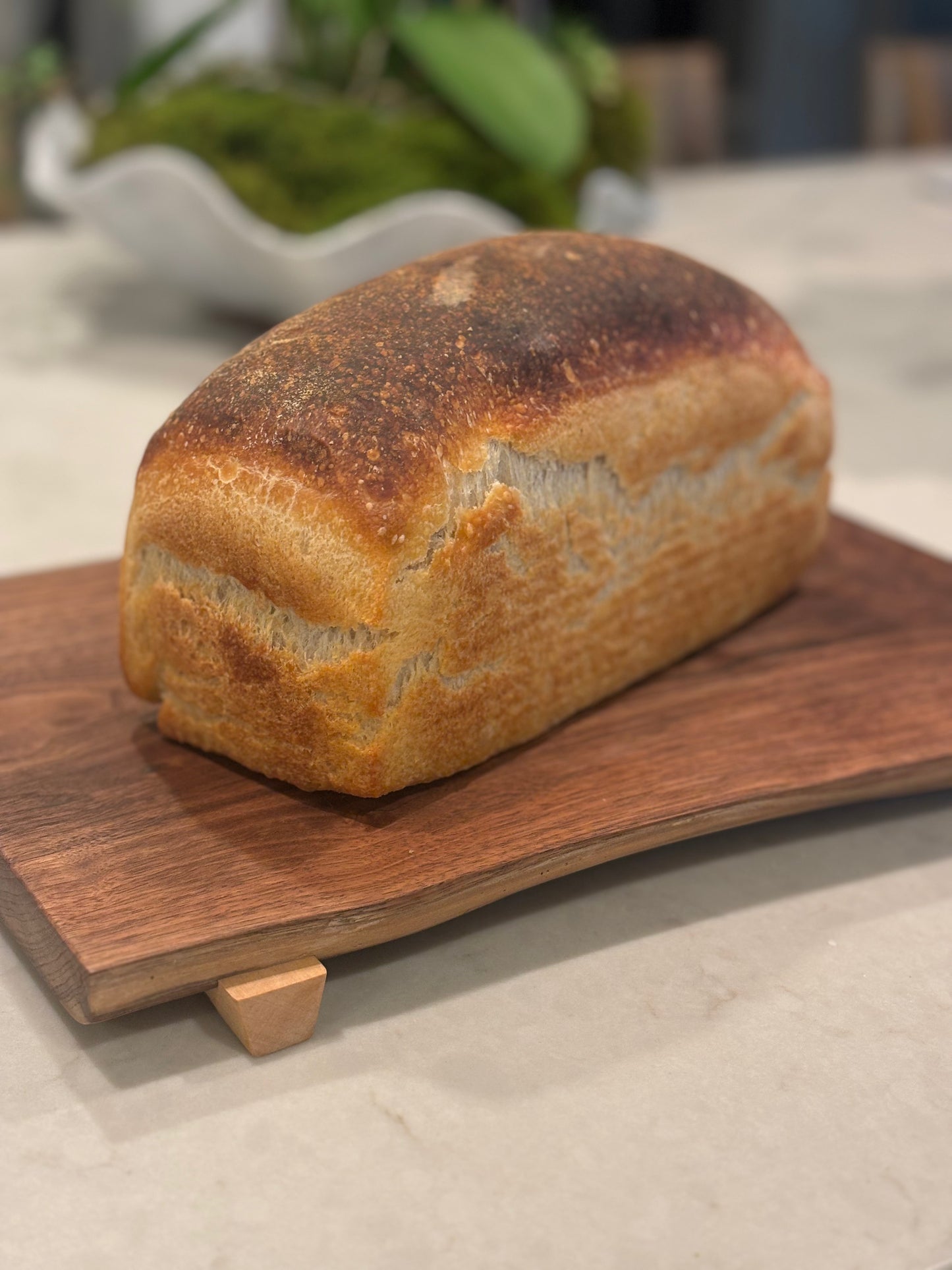 Sourdough Country Tin Loaf